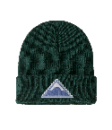 Otroška kapa Logo Beanie (Driftways Patch: Cascade Green)