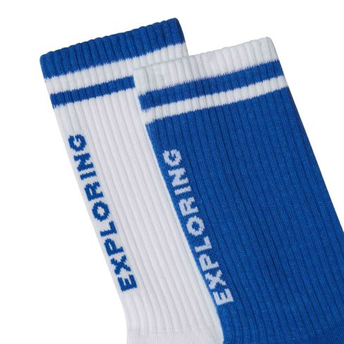 Nogavice EVERYDAY CREW NSE SOCK - 2P (TNF BLUE/TNF WHT)