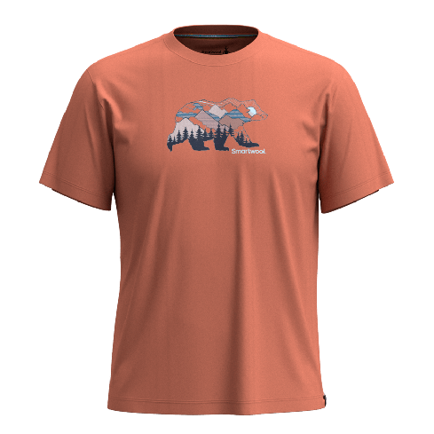 Moška majica s kratkimi rokavi Bear View Graphic (terracotta)